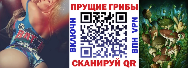 Псилоцибиновые грибы ЛСД  Купить закладки  Темрюк 